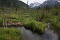 Eagle River Nature Center