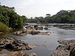 Het Okapiwildpark in Congo-Kinshasa