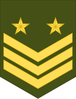 File:Ethiopia-Army-OR-6.svg