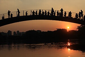 Parque Ibirapuera: História, Acesso, Eventos