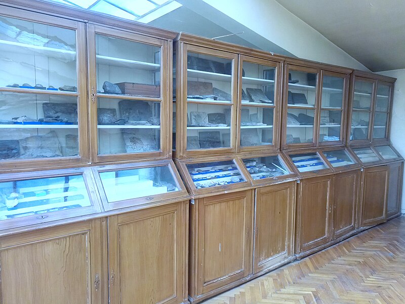 File:Exhibits of fossils at the Sofia University 'St. Kliment Ohridski' Museum of Paleontology and Historical Geology.jpg