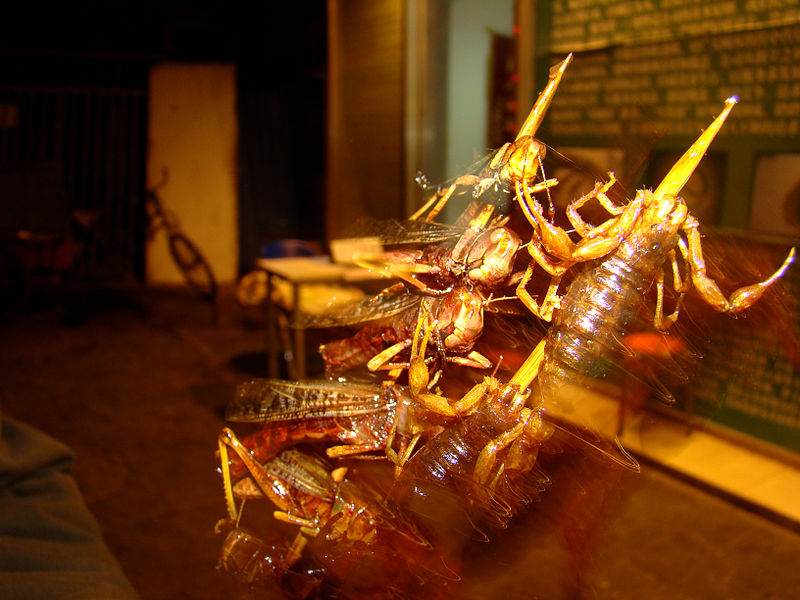 File:Exoskeleton of insects as food.jpg