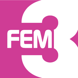 <span class="mw-page-title-main">FEM3</span> Television channel