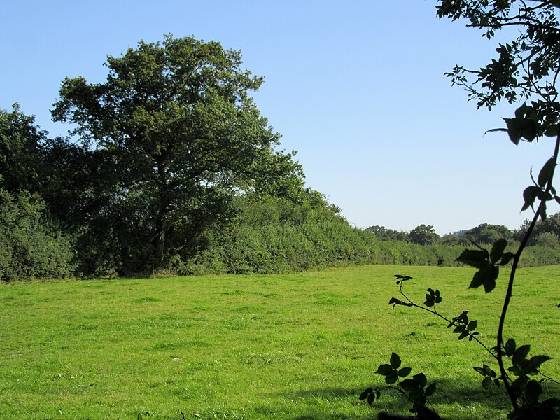 File:Field south of Myddle - geograph.org.uk - 6272191.jpg