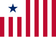 Flag of Liberian Customs