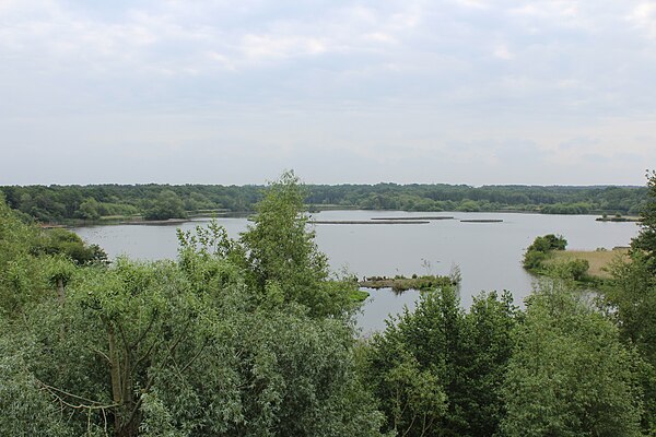 View of Fleet Pond. The railway line is about 100 metres to the left of the picture.