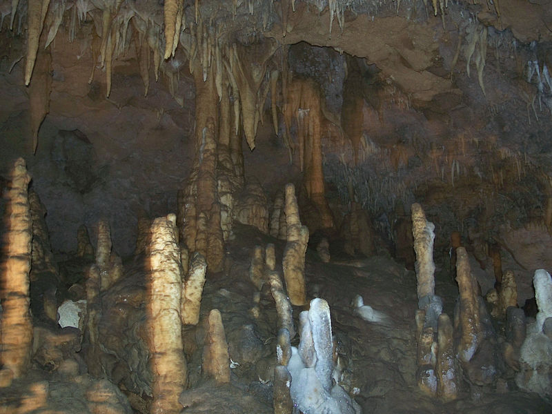 File:Florida Caverns SP inside01.jpg