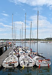 Flotte de mini 6.50 à Lorient.