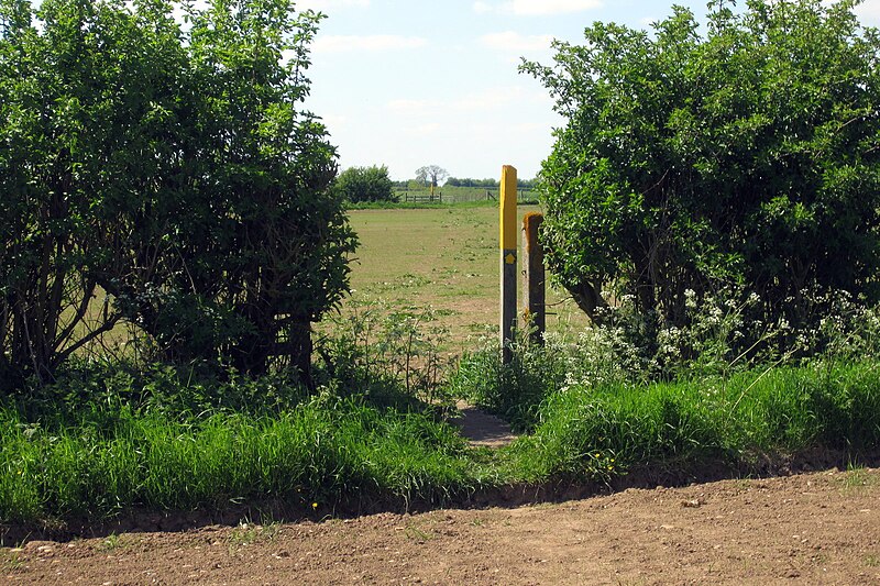 File:Footpath to Packington - geograph.org.uk - 3484233.jpg