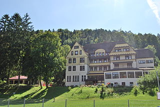 <span class="mw-page-title-main">Sulz am Neckar</span> Town in Baden-Württemberg, Germany