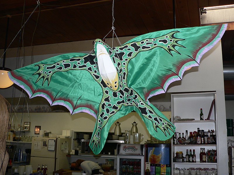 File:Frog kite 01284.JPG