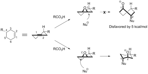 Furst plattner Mechanismus detail.png