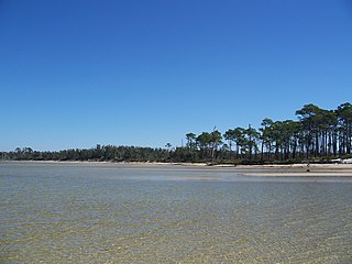 <span class="mw-page-title-main">Naval Live Oaks Reservation</span> United States historic place