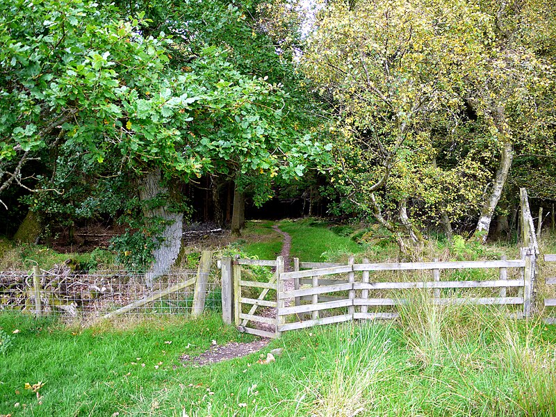 File:Gate on footpath into Holystone Wood west of Lady's Well - geograph.org.uk - 1484884.jpg