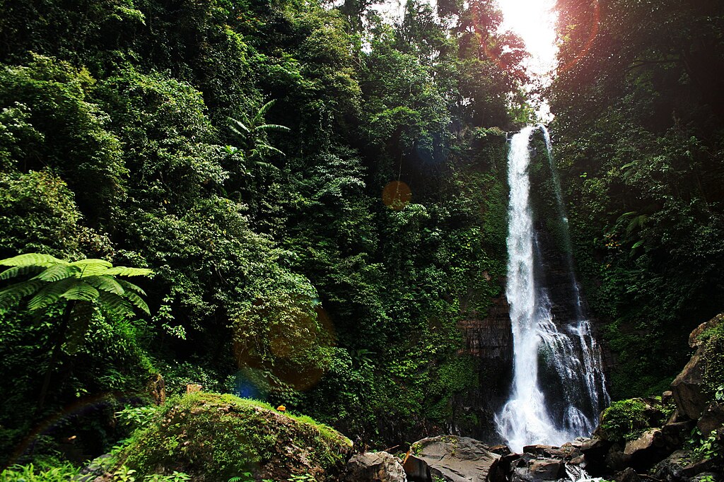 Gitgit waterfall bali indonesia 2012 12