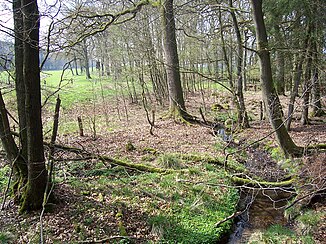 Upper course of the Glasbek in spring 2012