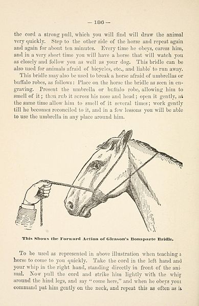 File:Gleason's horse book (Page 186) BHL18285178.jpg