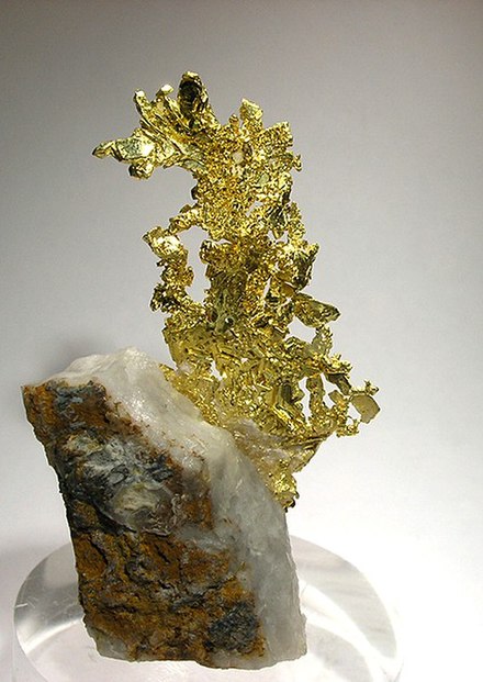 Gold specimen from the Eagle's Nest Mine, a source of specimen gold in Placer County