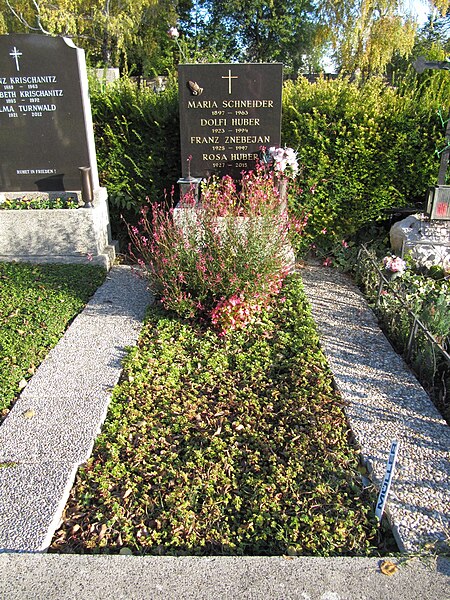 File:Grab Adolf Huber Kagraner Friedhof.jpg