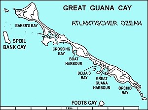 Greatguana.jpg