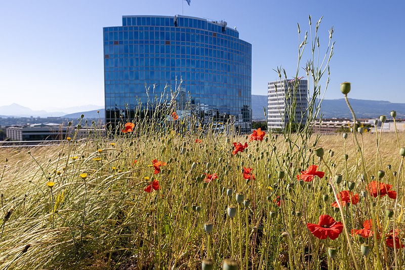 File:Green Roof at the WIPO Headquarters 9.jpg