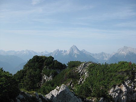 Großer Rauher Kopf