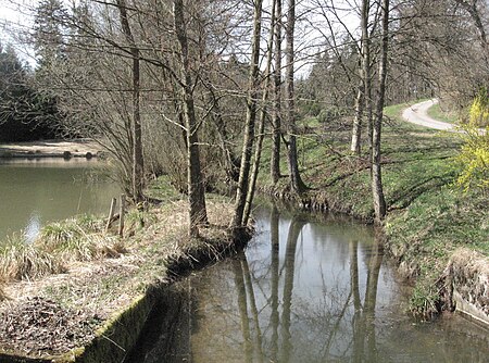 Hambach neben dem Hambachsägmühlweiher