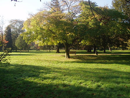 HamptonCourtParkTrees