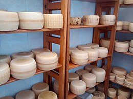 Handmade cacioricotta cheeses in Puglia (29133420862).jpg
