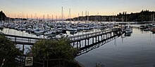 Un gruppo di yacht in un cantiere navale al tramonto dietro una passerella e un paio di cespugli.