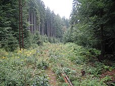 Nieczynna linia kolejowa Harrachov–Szklarska Poręba (2006)