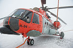 Helicdefens01.jpg