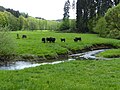 Miniatuur voor Bestand:Holzbach bei Seifen 2018.jpg