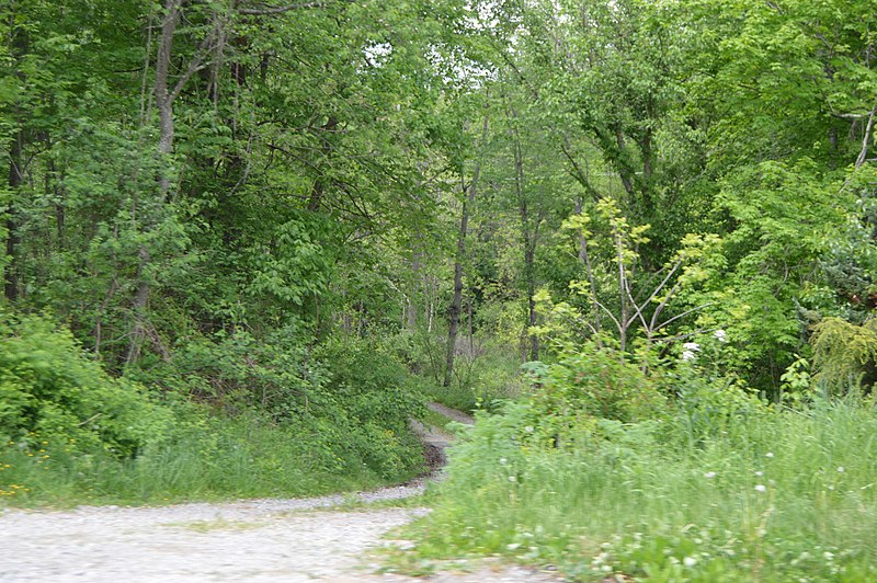 File:Hugh Laughlin Farm driveway.jpg