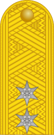 File:Hungary-Army-OF-7 shoulder.svg