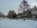 Irkutsk. Akademgorodok. February 2013 - panoramio (128).jpg