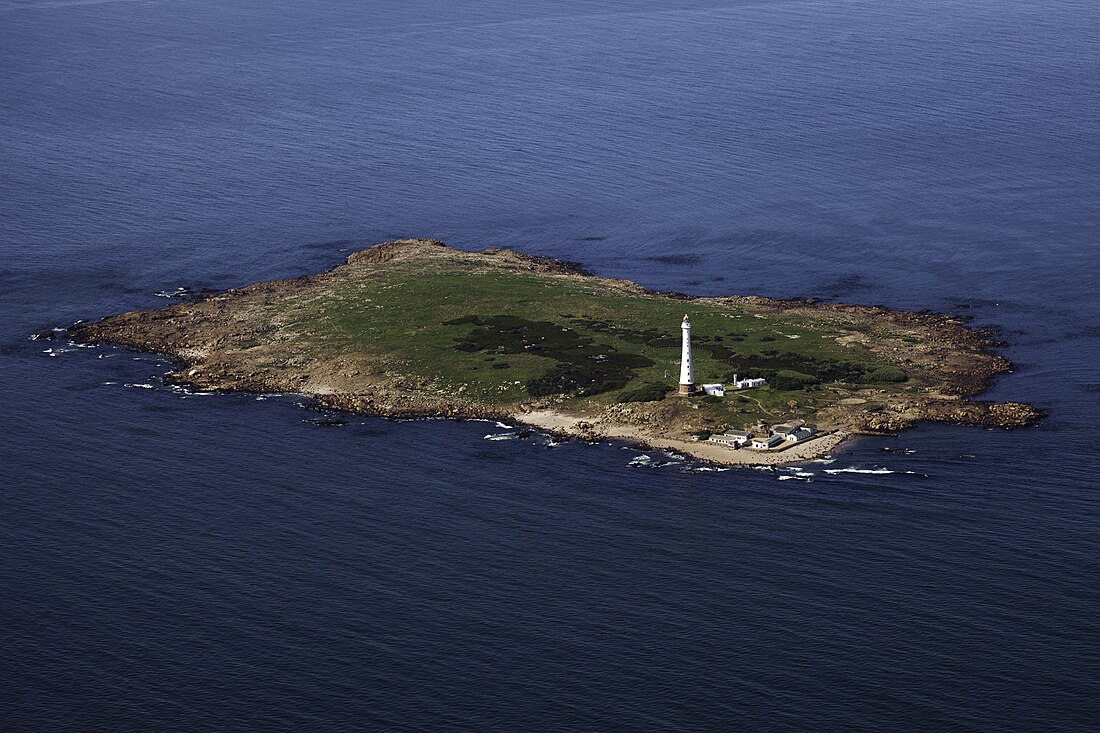 Isla de Lobos (Uruguay)