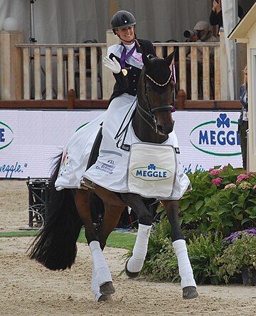 European Dressage Championships