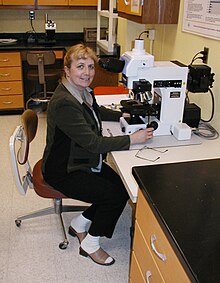Jitka Ourednik - a neuroscientist at Harvard Medical School
