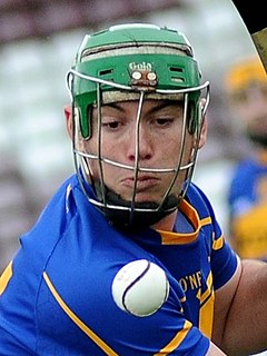 <span class="mw-page-title-main">John O'Dwyer</span> Irish hurler