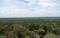 Kakamega forest view.jpg