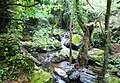 Torrent du mont Ida.