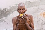 Thumbnail for File:Khairdeen, alias Pritam, relishing a mango at the dusk of his life 05.jpg