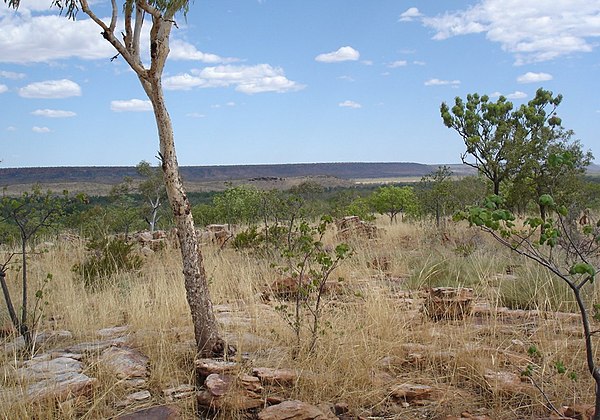 A vast semi-desert landscape within the Kimberley Region