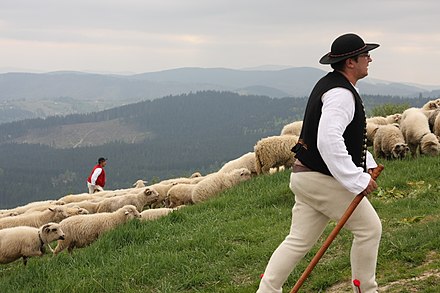 Shepherds in Silesian Beskids