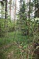 Čeština: Kovový posed v lese u Nových Hradů v okrese České Budějovice. English: Metal shooting stand in the woods near Nové Hrady, České Budějovice District, South Bohemian Region, Czechia.