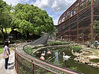 動物園 （2021年6月）