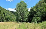 Geschützter Landschaftsbestandteil Sterbecker Aue