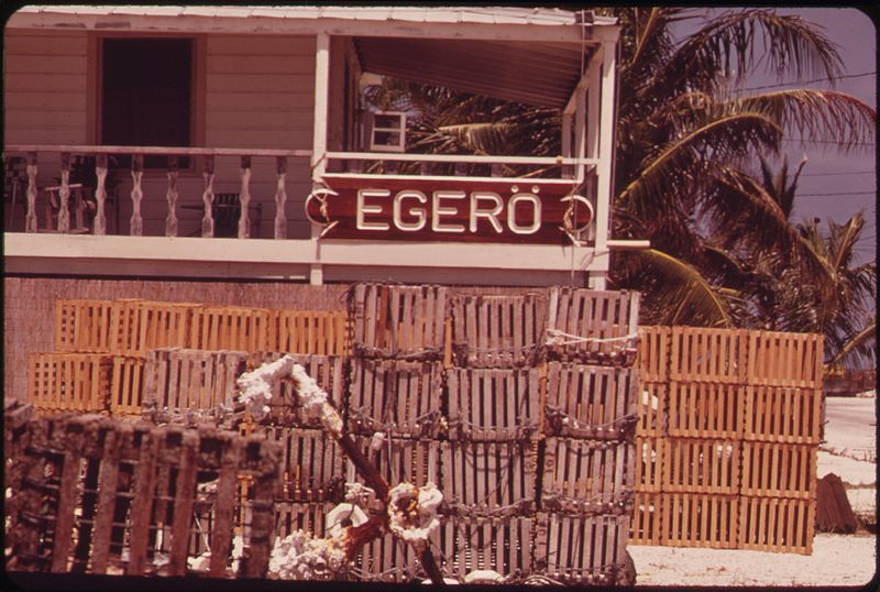 File:LOBSTER FISHERMAN'S HOUSE AT CONCH KEY DURING THE OFF-SEASON. AT THIS TIME, THE FISHERMEN REPAIR THEIR TRAPS AND... - NARA - 548765.jpg