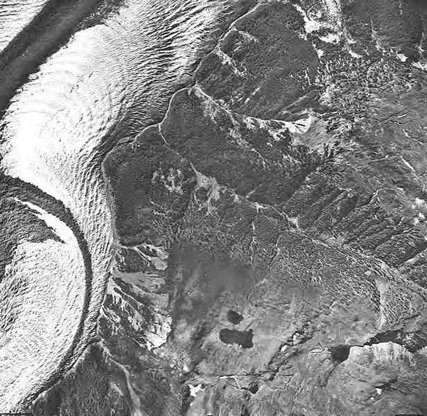 File:La Perouse Glacier, tidewater glacier with banded ogives and wide moraines, September 16, 1966 (GLACIERS 5550).jpg